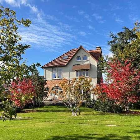 Villa Magnolia B&B Оосткамп Екстериор снимка