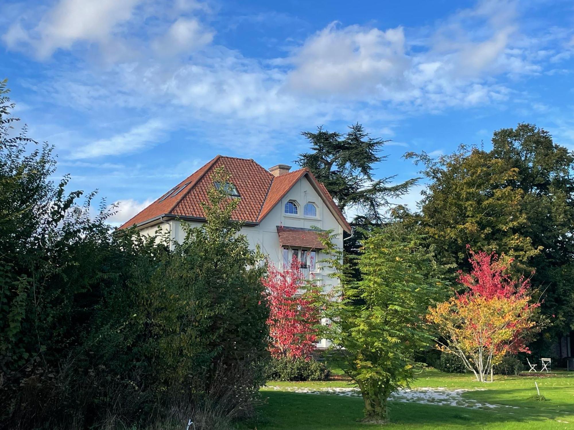 Villa Magnolia B&B Оосткамп Екстериор снимка
